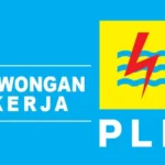 PT PLN (PERUSAHAAN LISTRIK NEGARA)